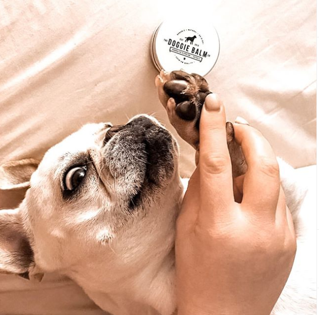 Puppy balm best sale